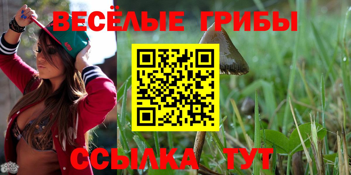 Псилоцибиновые грибы мицелий Мончегорск