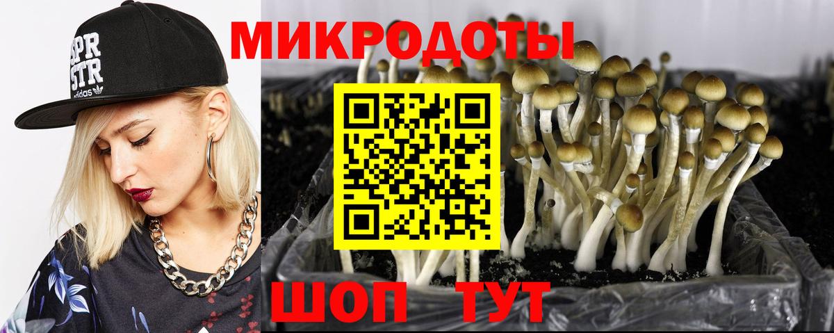 Псилоцибиновые грибы MAGIC MUSHROOMS  Вход с VPN  Мончегорск 